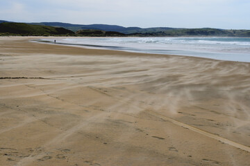 Lonely walker on windblown deserted beach, Catlins, South Island, New Zealand 