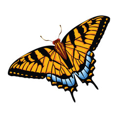Vector Cartoon Tiger Butterfly Character isolated illustration