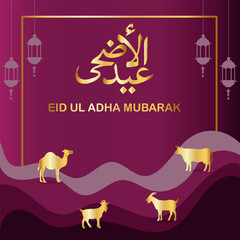 Eid Mubarak Eid Al-Adha Eid Saeed