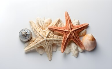 Fototapeta na wymiar Two Starfish and Seashells, High Detail Closeup, Isolated on White, Commercial Imagery, Natural Abrasive Texture, eCommerce, Print, Web Design Use, Generative AI, Generative, KI 