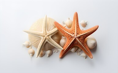 Ocean Treasures: Two Starfish with Seashells, Closeup on White Background, Perfect for Commercial Use, eCommerce, Nature-Themed Designs, Generative AI, Generative, KI
