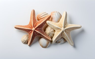 Fototapeta na wymiar Detailed Starfish Pair, Seashells, Isolated on White, Closeup, Marine Texture, Ideal for Commercial Use, eCommerce, Beach-Themed Graphics, Generative AI, Generative, KI 