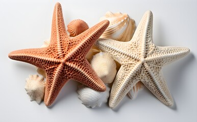 Crisp Closeup Image of Two Sea Stars, Accompanied by Seashells, Isolated on White Surface, Natural Textures, Perfect for Commercial and eCommerce Use, Generative AI, Generative, KI
