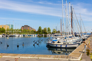 Fototapeta na wymiar Scenic view of Copenhagen port Langelinie marina with many moored docking yachrs and sailboats and cruise ship blue sky background. Danmark capital city harbour cityscape view
