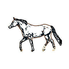 Color sketch of a running horse with transparent background