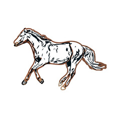 Color sketch of a running horse with transparent background