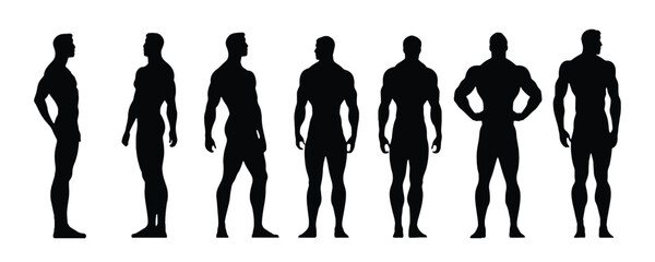 Set of man body builders silhouette, vector isolated