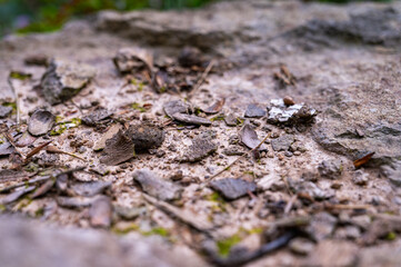 background, texture stone surface with stones