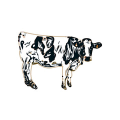 Color sketch of a cow with transparent background