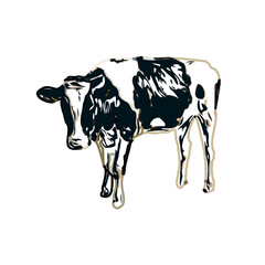 Color sketch of a cow with transparent background