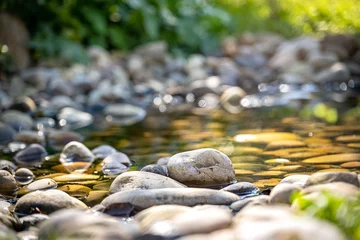  Stones in a small river in the morning © Z Fiedler