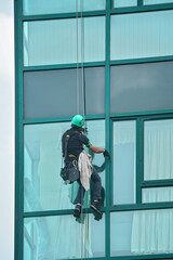 Industrial window cleaner - man hanging on roofs with safety equipment, cleaning facade of tall modern glass building