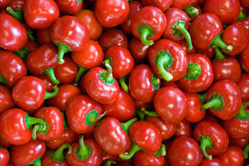 Peperoncini piccanti
