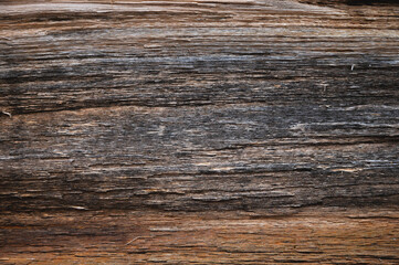 Embossed texture of the bark of oak. Panoramic photo of the oak texture