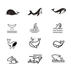 Whale icon set in thin line style .