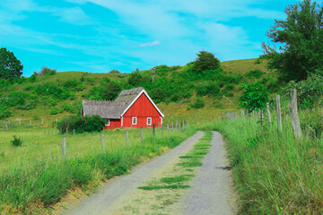 Traditional scandinavian red woden house in Hav&auml;ng, &Ouml;sterlen, Sweden. Countryside house, selective focus.