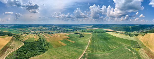 Aerial landscape view of green and yellow cultivated agricultural fields with growing crops on bright summer day © bilanol