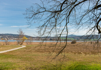 Rural scenery at the lake Pfaeffikersee in Zurich in Switzerland