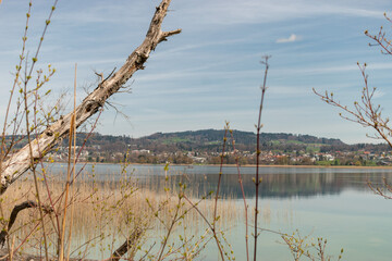 Beautiful lake Pfaeffikersee in Zurich in Switzerland