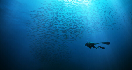 Scuba diver swimming with school of fish.