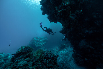 Fototapeta na wymiar Scuba diver swimming at reef, Red sea, Egypt.