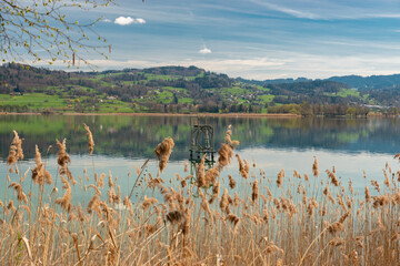 Beautiful lake Pfaeffikersee in Zurich in Switzerland