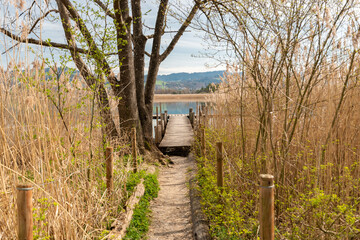 Small pier at the lake Pfaeffikersee in Zurich in Switzerland