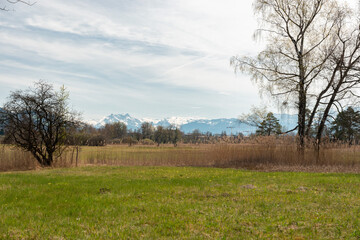 Obraz premium Landscape around the lake Pfaeffikersee in Zurich in Switzerland
