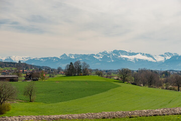 View over a green field and the alps at the lake Pfaeffikersee in Zurich in Switzerland