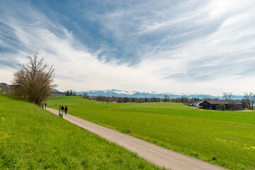 View over a green field and the alps at the lake Pfaeffikersee in Zurich in Switzerland