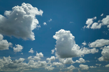 Naklejka na ściany i meble White puffy cumulus clouds on summer blue sky