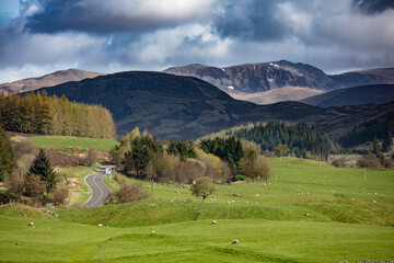  blairgowrie