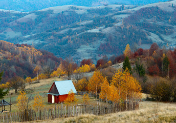 lonely house in the mountains. Yellow birch near it and the fence.