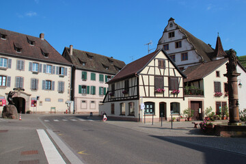 Fototapeta na wymiar street and medieval houses in andlau in alsace (france)