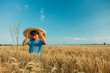 Little boy in hat in wheat field in summer time