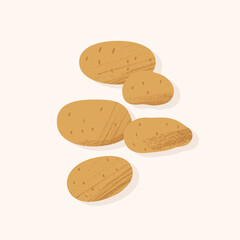 Five pieces of whole potato in peel of different sizes and shapes. Vector illustration in flat style with textures. Concept of growing organic regional agricultural vegetables.