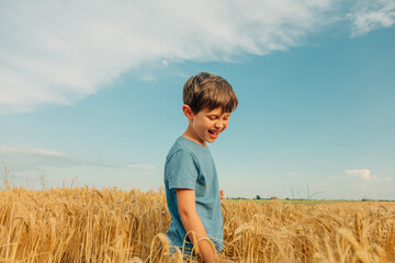 Naklejka na ściany i meble Little boy in blue shirt in yellow wheat field in summer time