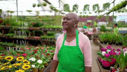 One black older female employee walking at Flower Shop wearing green apron. An African American woman strolling through plant store