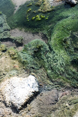 Termas