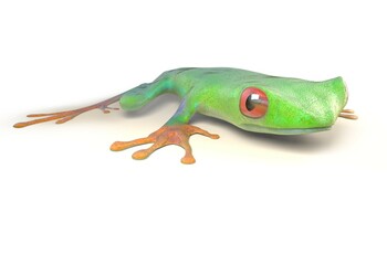red eyed tree frog from tropical rainforest of Costa Rica isolated on white. Beautiful green and blue treefrog is an exotic animal from the rain forest. 3d render
