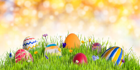 Easter eggs in green grass with flowers, happy holidays background