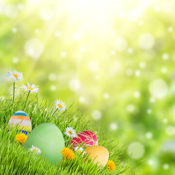 Easter nature holiday background with eggs and flowers