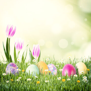 Easter vintage nature holiday background with eggs and flowers
