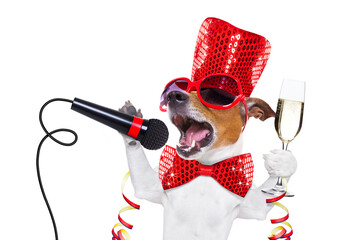 jack russell dog celebrating new years eve with champagne  glass and singing out loud, with a ...