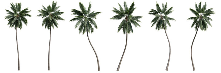 Fototapeta premium set of green trees isolated on transparent or white background