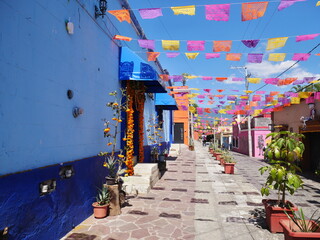 geschmückte Straße im Barrio de Xochimilco in  Oaxaca Mexiko  anlässlich des Dia de de los Muertos