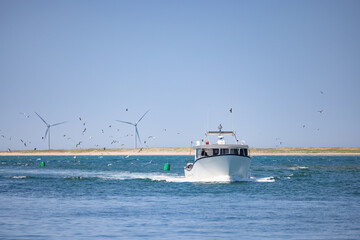 Bateau entrant dans un port de pêche , bombardier, homards, ciel bleu, éoliennes