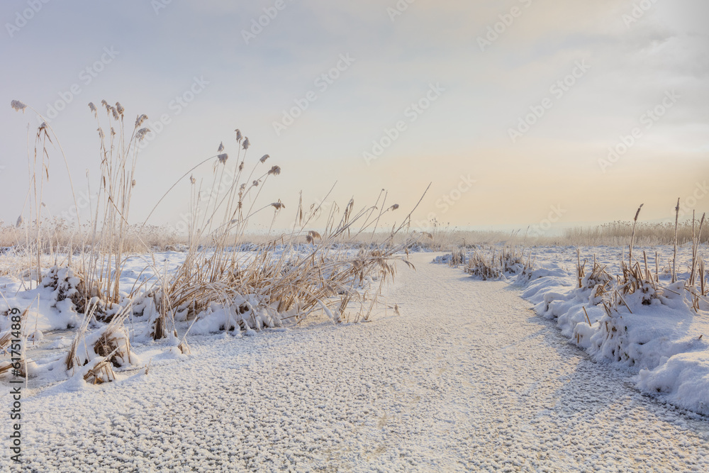 Sticker sunrise in winter. Location: Comana Natural Park, Romania.