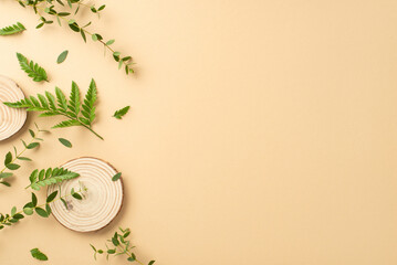 Wild nature beauty concept. High angle view photo of round wooden plates with branches and leaves of fern and eucalyptus on isolated beige background with copy-space