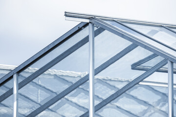 Greenhouse construction made of glass and metal framing